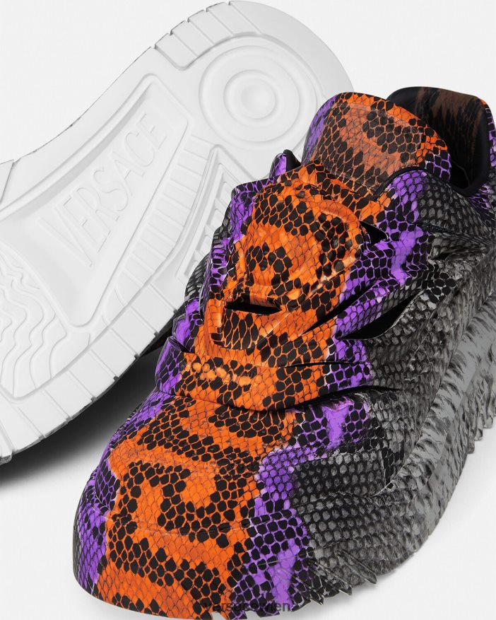 drucken Odissea-Sneaker mit Python-Greca-Print Versace Männer Schuh 8N4XJD1539